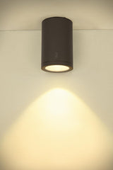 ENOLA L CL RD 35W 3000/4000K 230V LED IP65 anthrazit