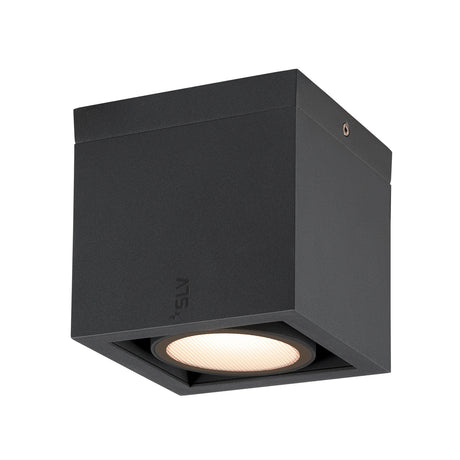 ESKINA FRAME CL single 15W,1100/1200lm,830/840,95°,IP65,anth
