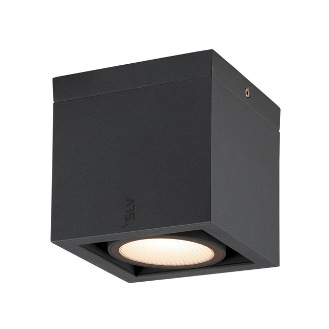 ESKINA FRAME CL single 15W,1100/1200lm,830/840,95°,IP65,anth