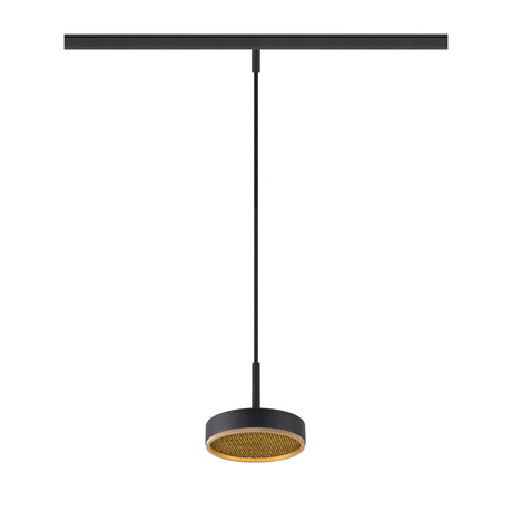 GRIP! FLAT 48V PD, DALI Pendellänge 200cm 2700/3000K sw/gold