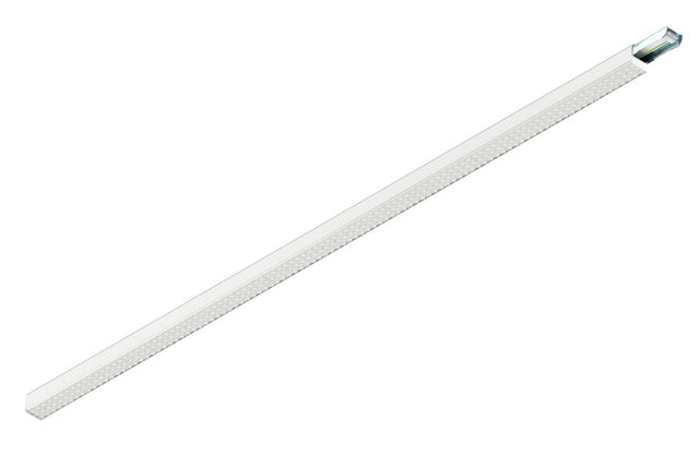 EASYLIGHT 2500 140 830/840/865OVALMLDALI2 Tragschienensystem