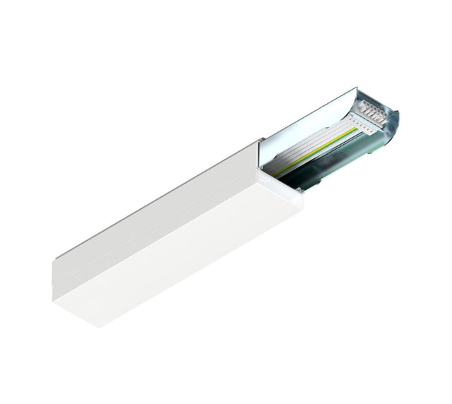 EASYLIGHT, Einspeiser, 300mm, 7pole, 2,5mm2, ws