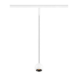 LIGHT EYE® 2.0, 48V Pendelleuchte, DALI, 2700K, 30°, ws/sw