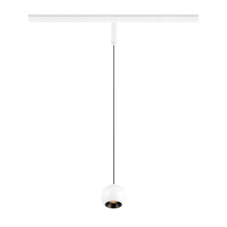 LIGHT EYE® 2.0, 48V Pendelleuchte, DALI, 2700K, 30°, ws/sw