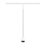 LIGHT EYE® 2.0, 48V Pendelleuchte, DALI, 3000K, 30°, ws/sw