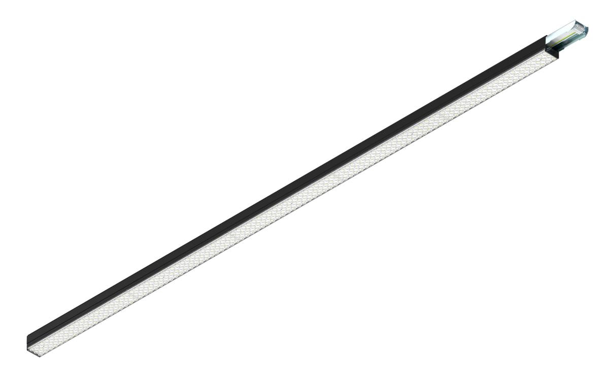 EASYLIGHT 2500 150 835/840/850 OVAL BK ML DALI2, 2500mm