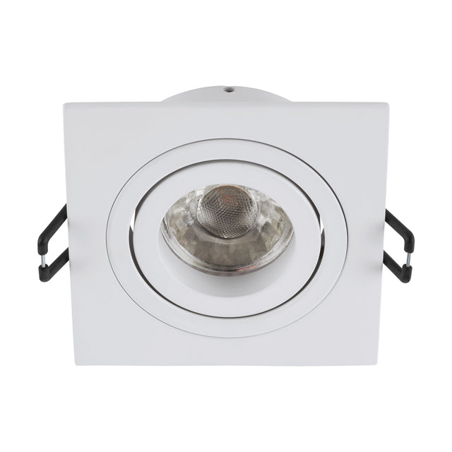 Terni Pro ecking / schwenkbar 50W weiß IP20