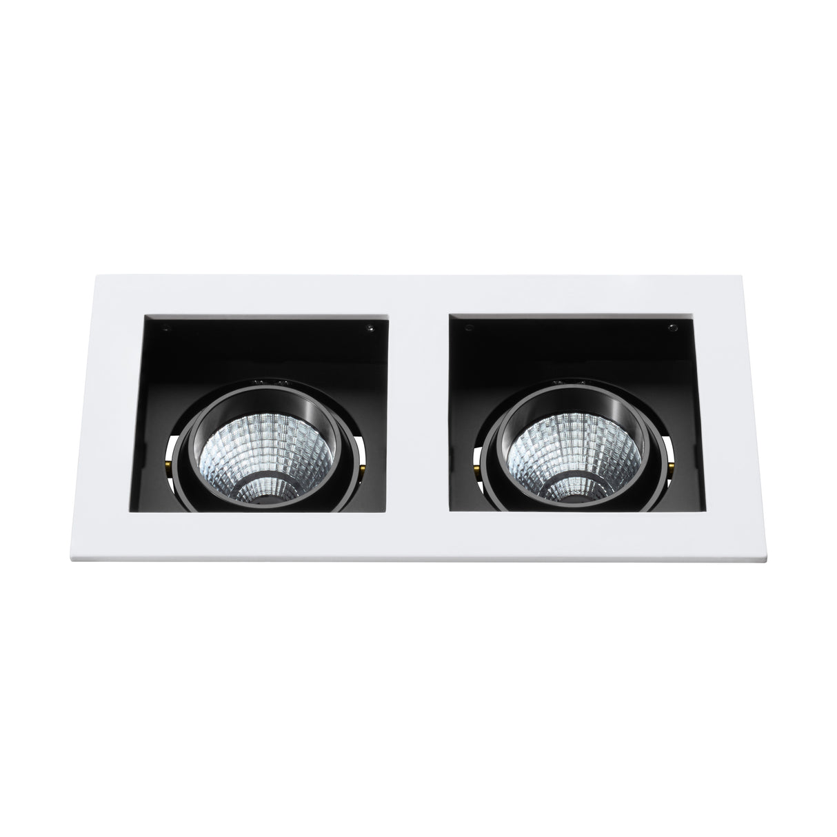 Biscari 2 schwenkbar IP20 2 x 7W 2700K weiß IP20