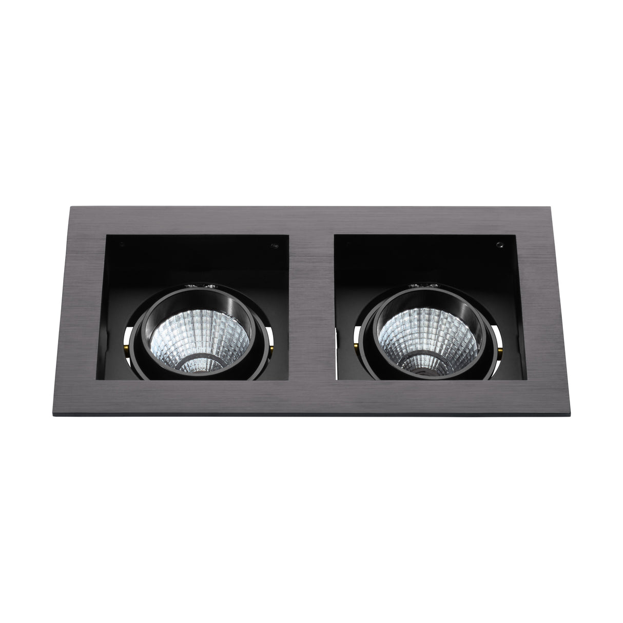 Biscari 2 schwenkbar 2 x 7W 2700K schwarz IP20