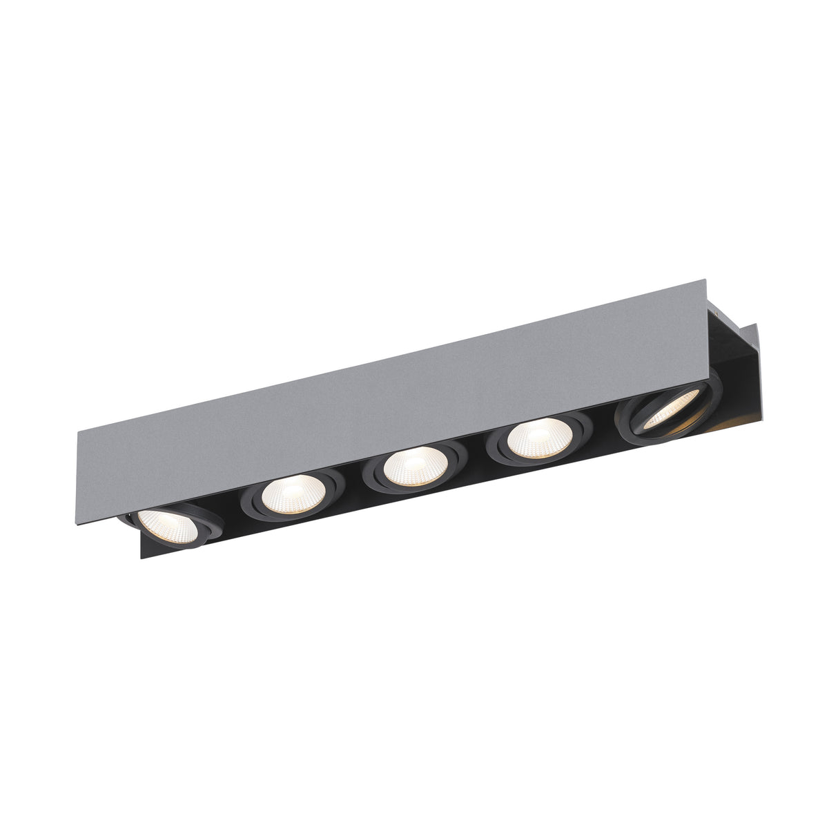 Vidago Pro / 5flg., DALI dimmbar 5x9W 3000K silber IP20