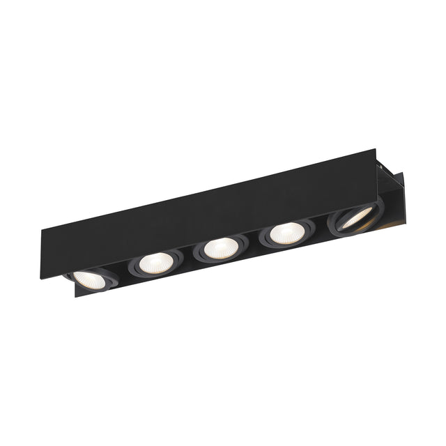 Vidago Pro / 5flg., DALI dimmbar 5x9W 4000K schwarz IP20