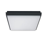 67362A/AN/W ANTHRACITE PLAFO 20W WW IP54 230V