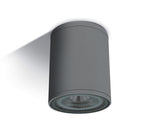 67132C/AN ANTHRACITE CYLINDER PAR30 E27 20W IP54