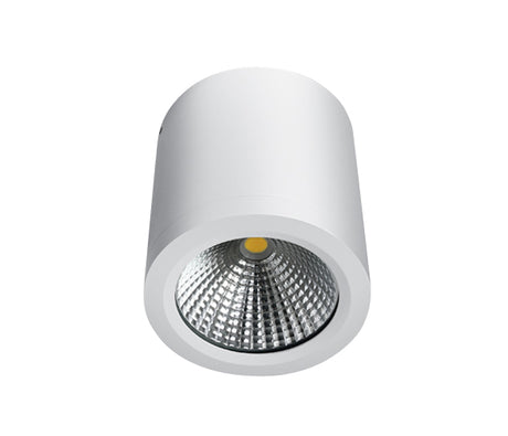 67380/W/W WEISS COB LED 10W WW IP54 60d 230V