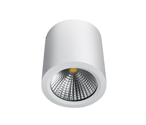 67380/W/W WEISS COB LED 10W WW IP54 60d 230V