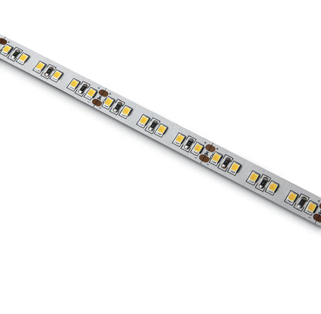 7825/C LED STRIP 24V DC CW 5m ROLL 19,2W/m IP20
