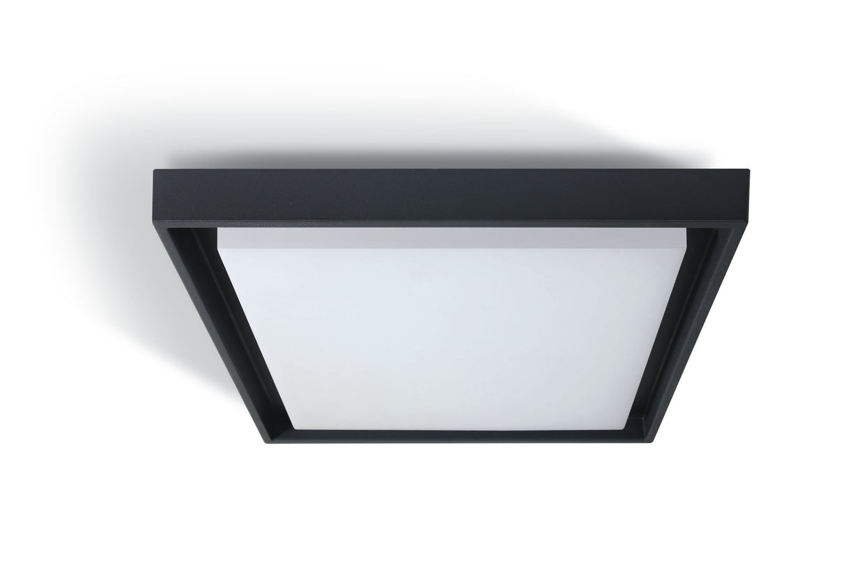 67384A/AN/W ANTHRACITE PLAFO LED 30W WW IP54 230V