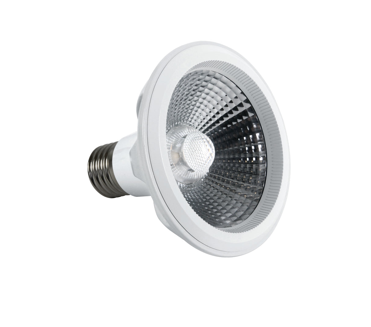 7310H/W PAR30 LED 10W WW E27 230V