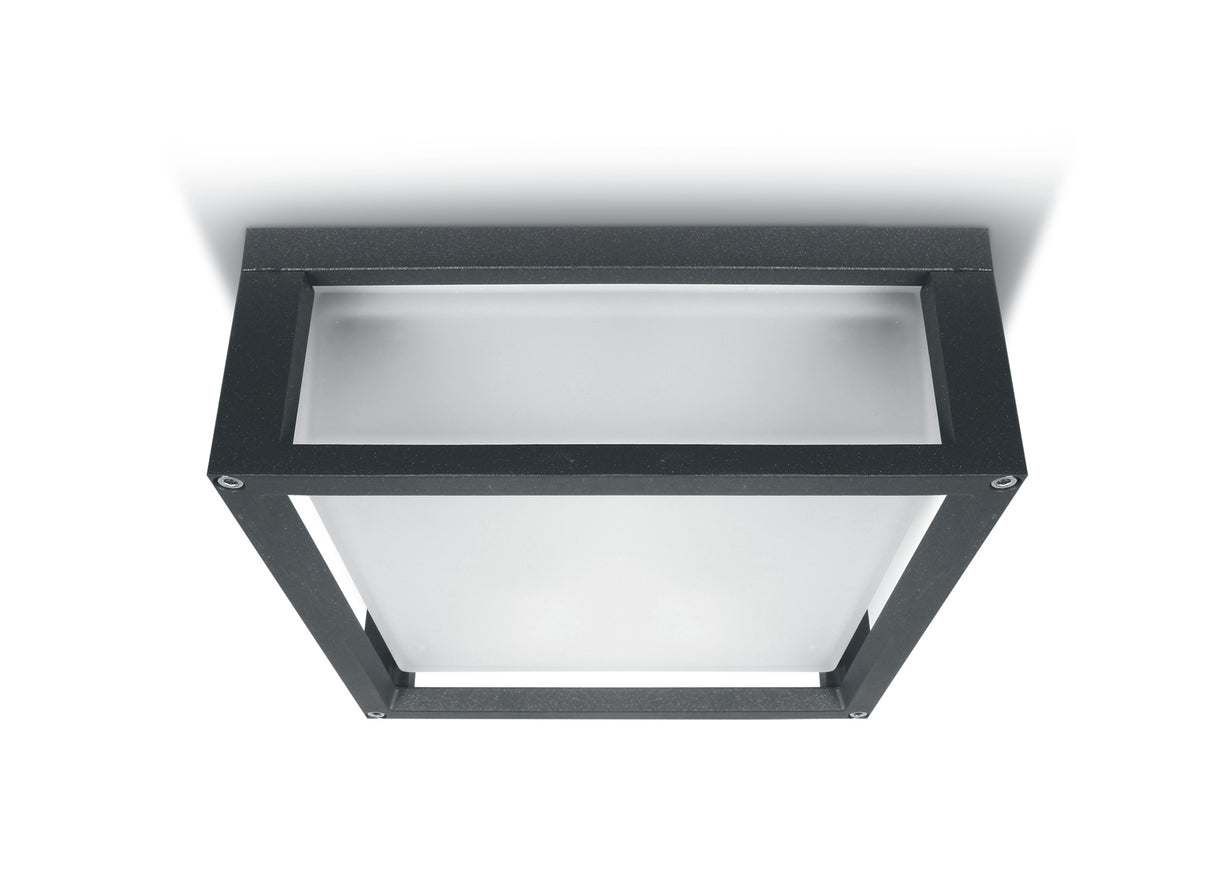 67420B/AN ANTHRACITE E27 2x12W PLAFO IP54