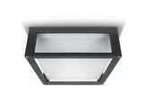 67420B/AN ANTHRACITE E27 2x12W PLAFO IP54