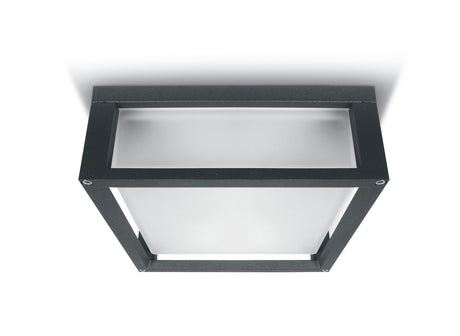 67420B/AN ANTHRACITE E27 2x12W PLAFO IP54