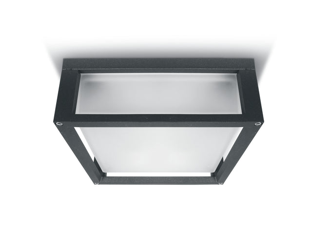 67420B/AN ANTHRACITE E27 2x12W PLAFO IP54