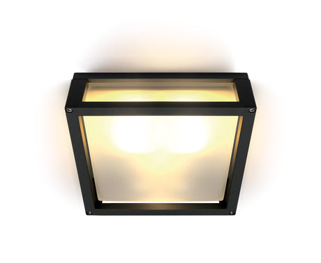 67420B/B SCHWARZ E27 2x12W PLAFO IP54