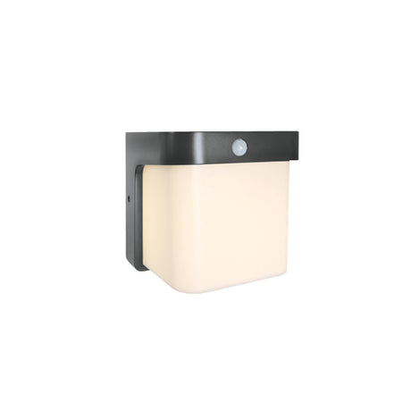 67492P/AN/W ANTHRACITE WALL SENSOR 12W WW IP54 230V