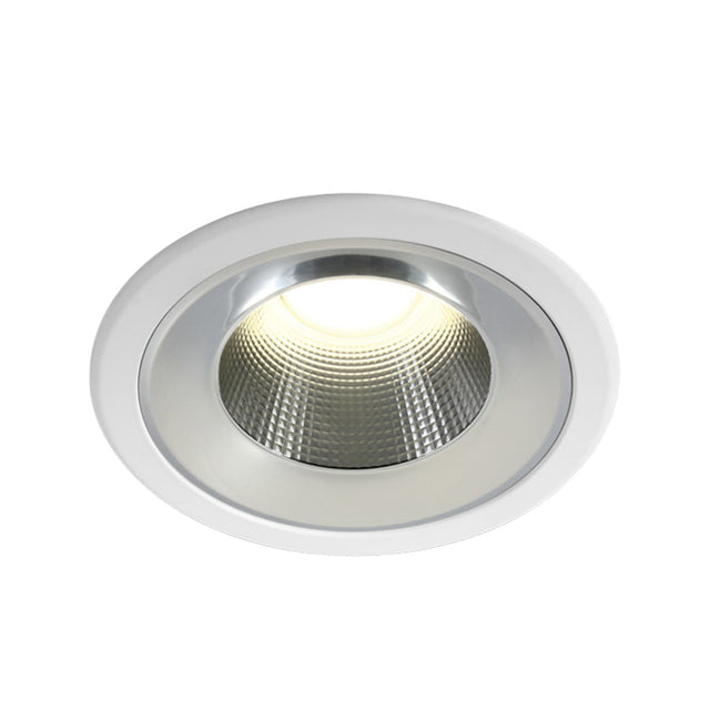 10125TD/W/C WEISS 25W IP54 CW 230V DARK LIGHT