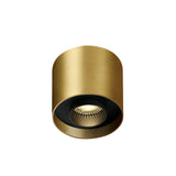 12122D/BBS/W GEBÜRSTETES MESSING LED 22W WW IP20 230V