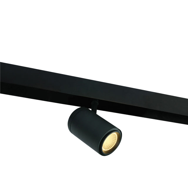 42114BL/B/W SCHWARZ 24W WW 48V IP20 ADJUSTABLE DALI