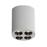 12110H/W/W WEISS 10W WW IP20 38° 230V DARK LIGHT