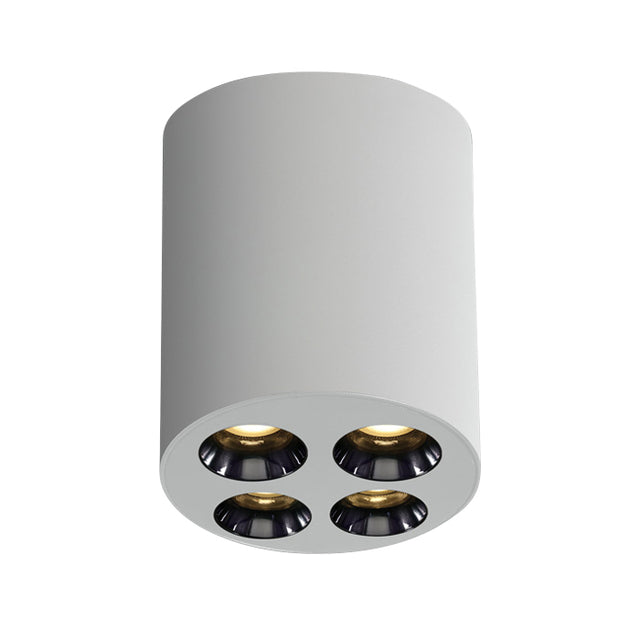 12110H/W/W WEISS 10W WW IP20 38° 230V DARK LIGHT