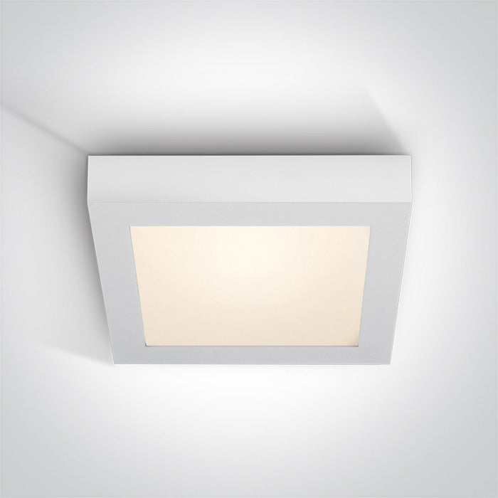 62130AF/W/V WEISS PLAFO 30W CCTV IP40 230V