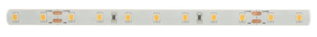 Foto: FS 25, HW, Ra=90+, 6W/m, 555lm/m, 24VDC, IP44, l=5m