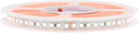 Foto: FS 50 (G2), 3000K, Ra95+, 11W/m, 1350lm/m, 24VDC, IP44, l=5m