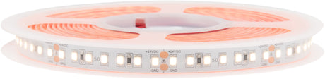 FS 50 (G2), 6000K, Ra95+, 11W/m, 1370lm/m, 24VDC, IP44