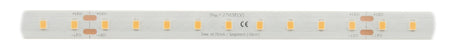 Foto: FS CC 7010 CLW, Ra97, 18,9W, 1620lm/m, max. 700mA/m, l=4m