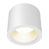 SALINO LED 170 11W 1250lm 4000K IP44 IK06 weiß