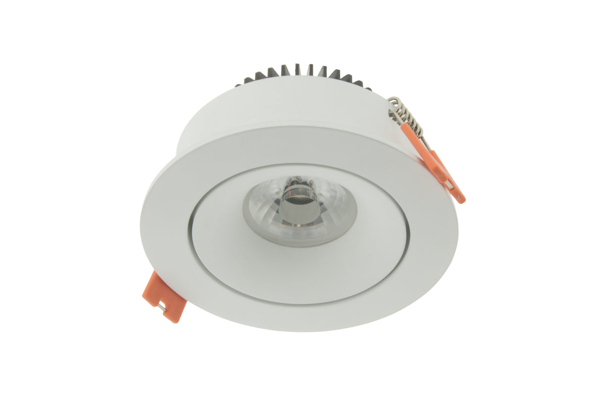LED Downlight 100 - IP43 | CRI/RA 97 (Kardanisch) Warmweiß