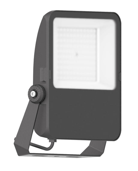 Foto: CAPRI LED Basic 70W 7700lm 4000K asymmetrisch IP65 schwarz