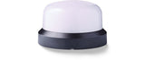 Foto: Compact LED Mehrfarbenleuchte, 24-48V AC/DC
