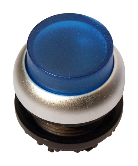 Leuchtdrucktaste hoch tastend blau