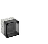 SPELSBERG Leergehäuse Kst IP66 ET69mm TK PC 99-8-tm B94xH94xT81mm geschl