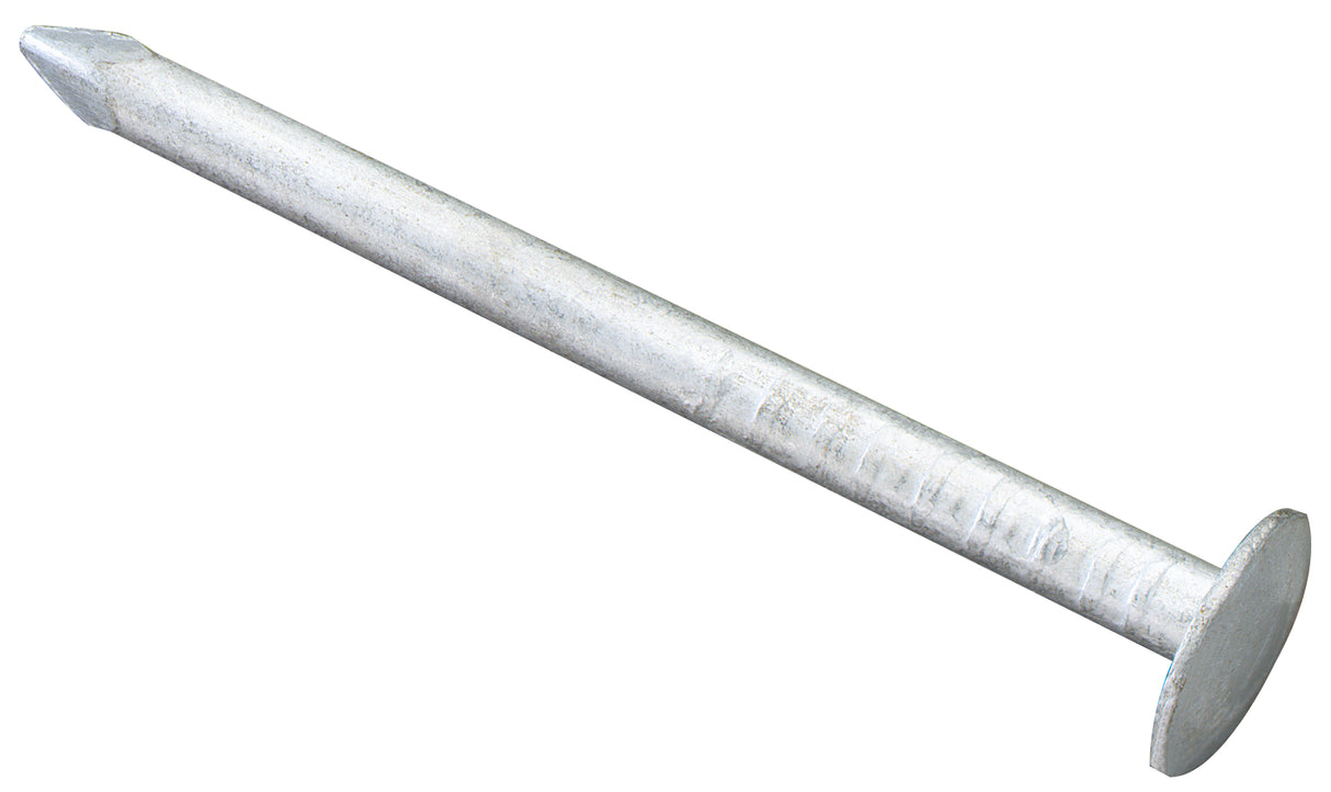 SPELSBERG Nagel 2x40mm Flachkopf NA-AL/gl