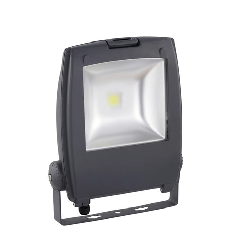 Fluter 'Gambettola Pro' 50W 6500K anthrazit (RAL7016)