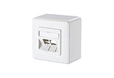 METZ CONNECT Modulaufnahme AP 2f ver-ws 130B20D20027KE Kanaleinb schräg