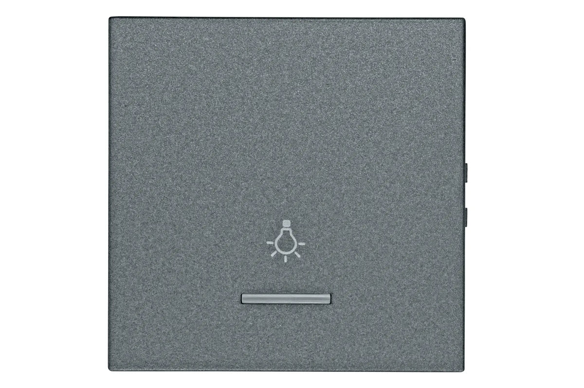 Wippe 50 mit transparenter Linse, Symbol Licht, anthrazit (10er-Pack)