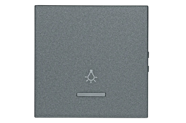 Wippe 50 mit transparenter Linse, Symbol Licht, anthrazit (10er-Pack)