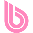 BWT Logo